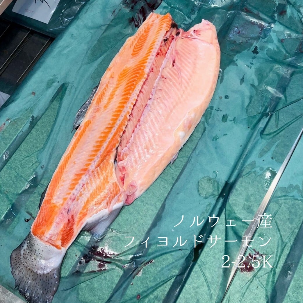 白身魚2サーモン2 フィヨルドサーモン半身 1.7-2kg(魚体4-5キロサイズの半身