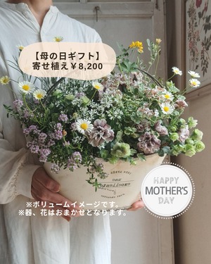母の日寄せ植えギャザリング花籠8200