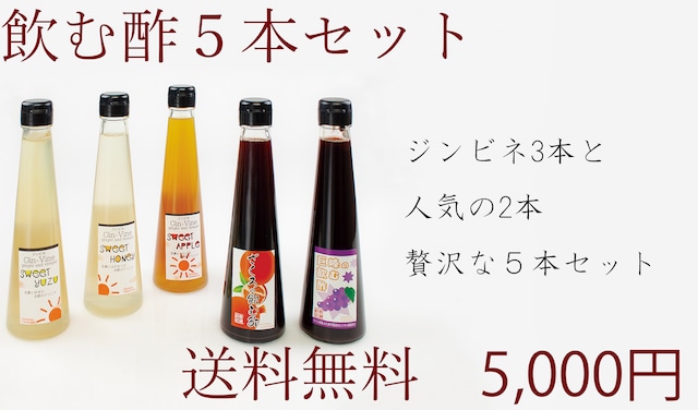 飲む酢5本セット