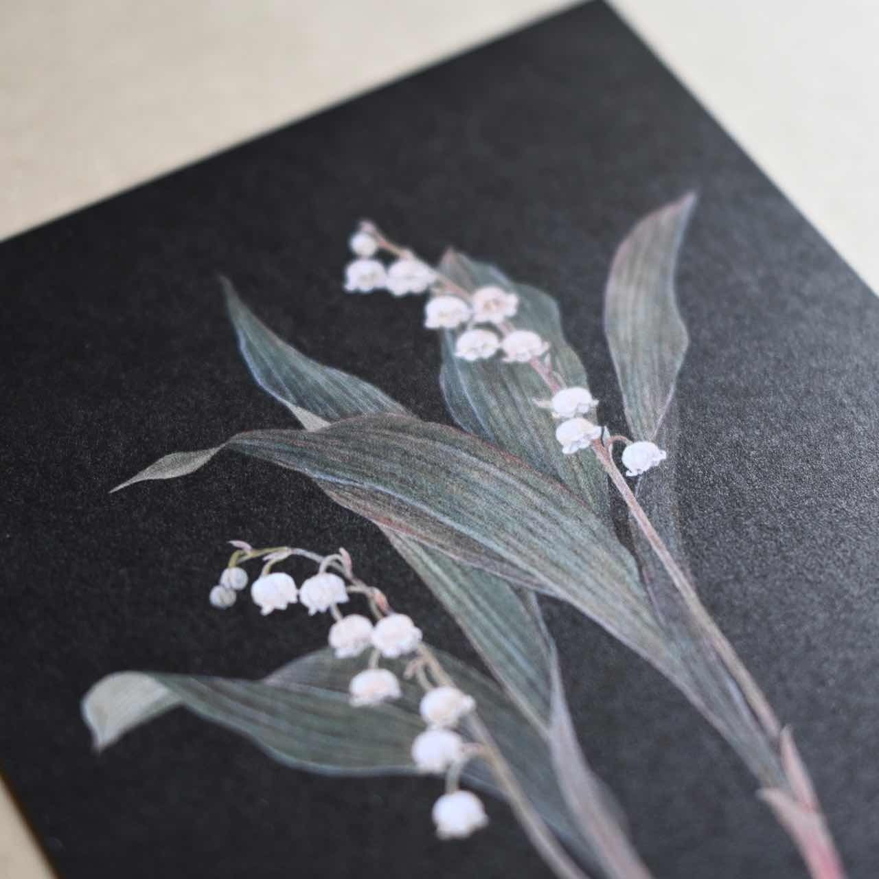 再入荷 】ポストカード sasaki megumi すずらん｜黒 はがき イラスト