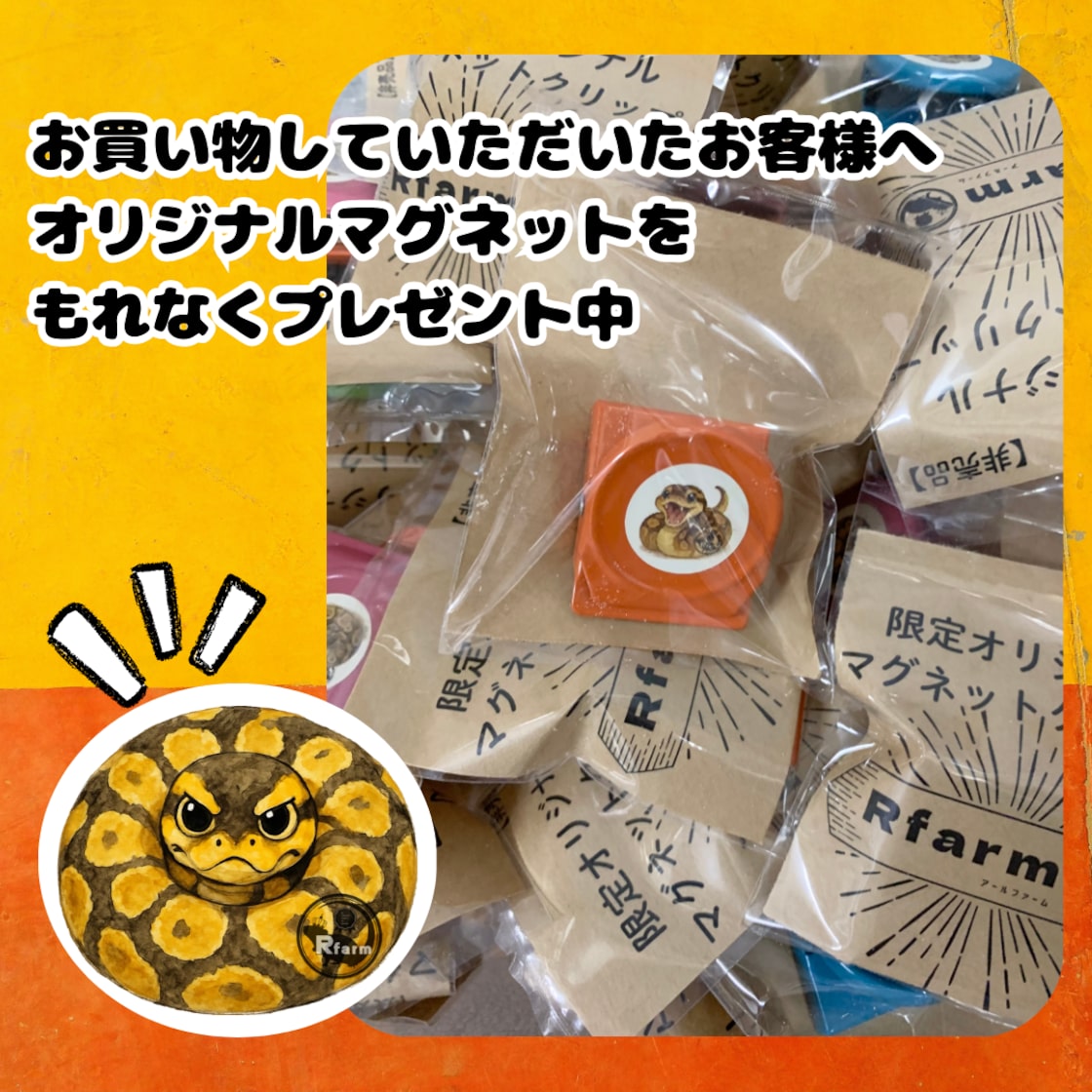 冷凍ラットピンクM5匹 [±10-15g] | PAY ID