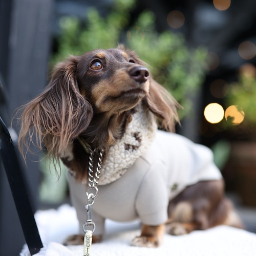 ボアフーディ(ハート・ネイティブ）