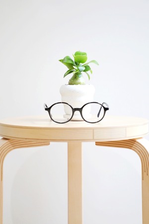 【S】ヒドノフィツム パプアナム/Hydnophytum