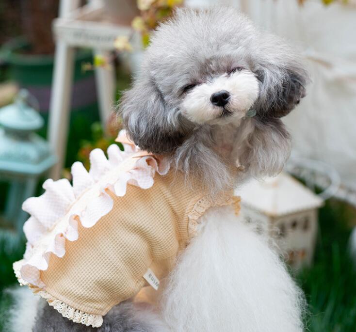 《予約》1102117 ロングチュールワッフルトップス