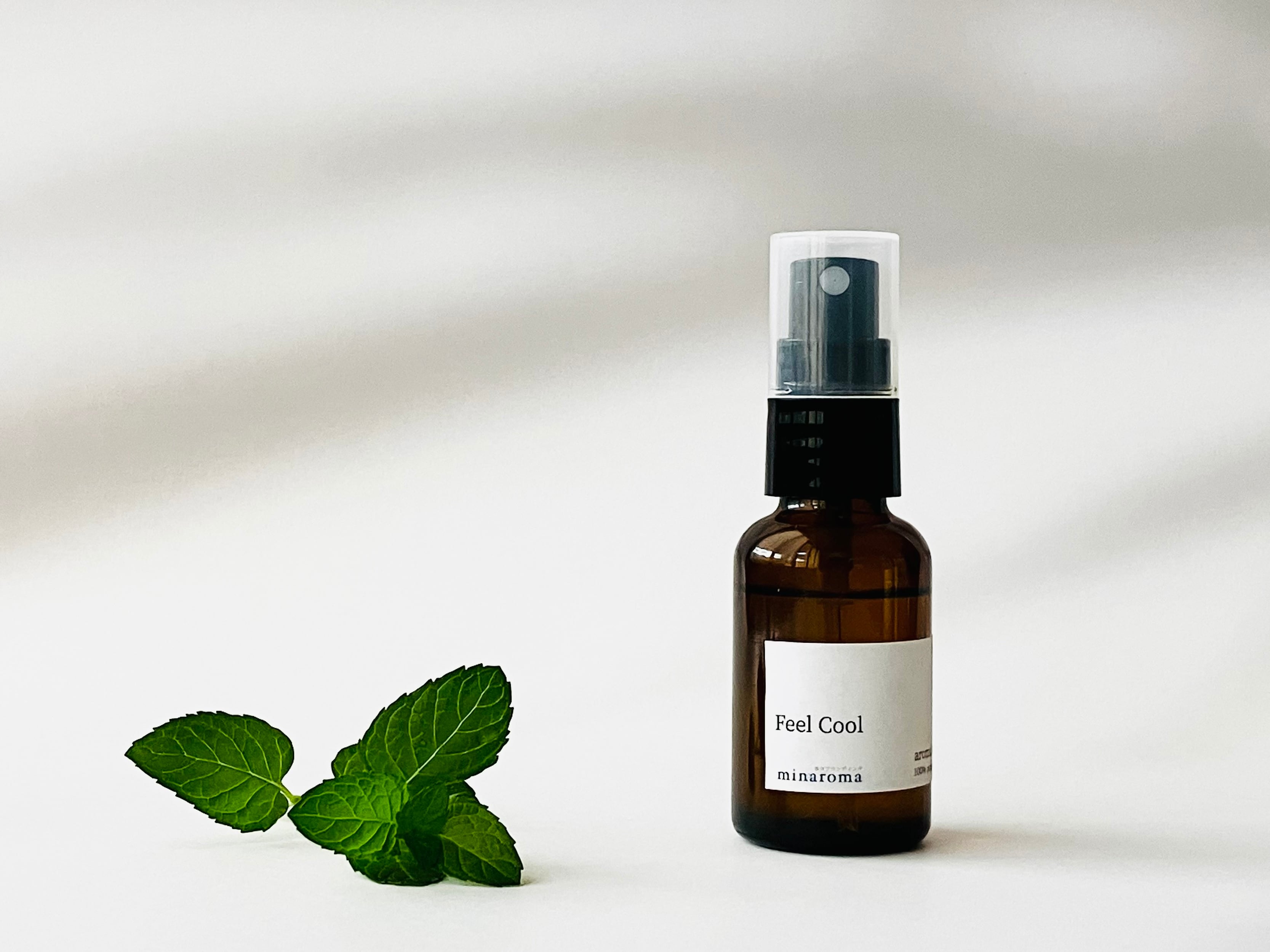 【季節限定】エアミスト 30ml | フィールクール