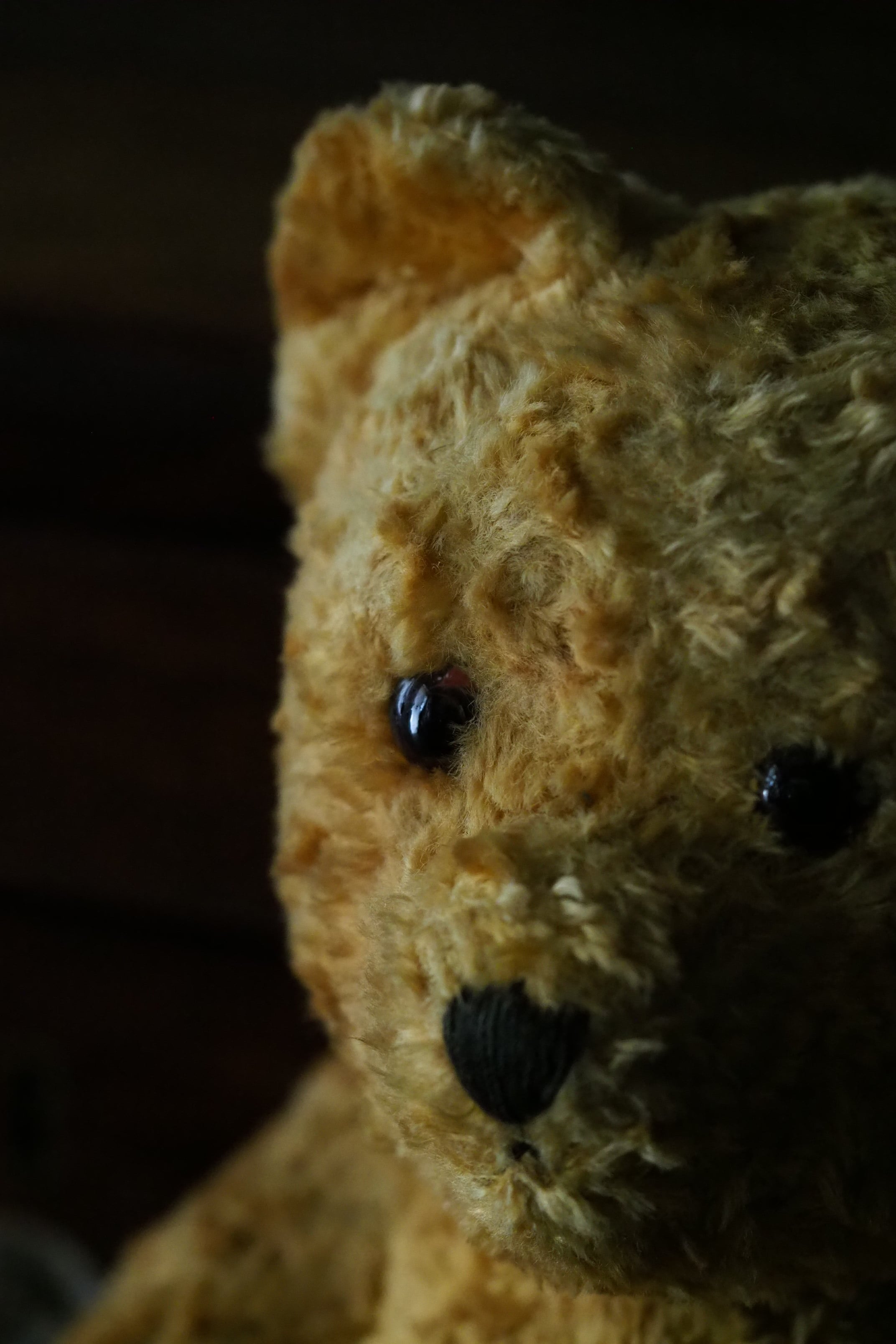お腹ぽんぽこりんクマさん-vintage teddy bear | アンティーク