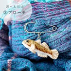 和紙小物/アクセサリー『ハゼ（マハゼ）』