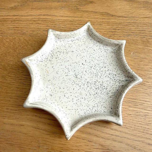 ペペロミア・プテオラータ