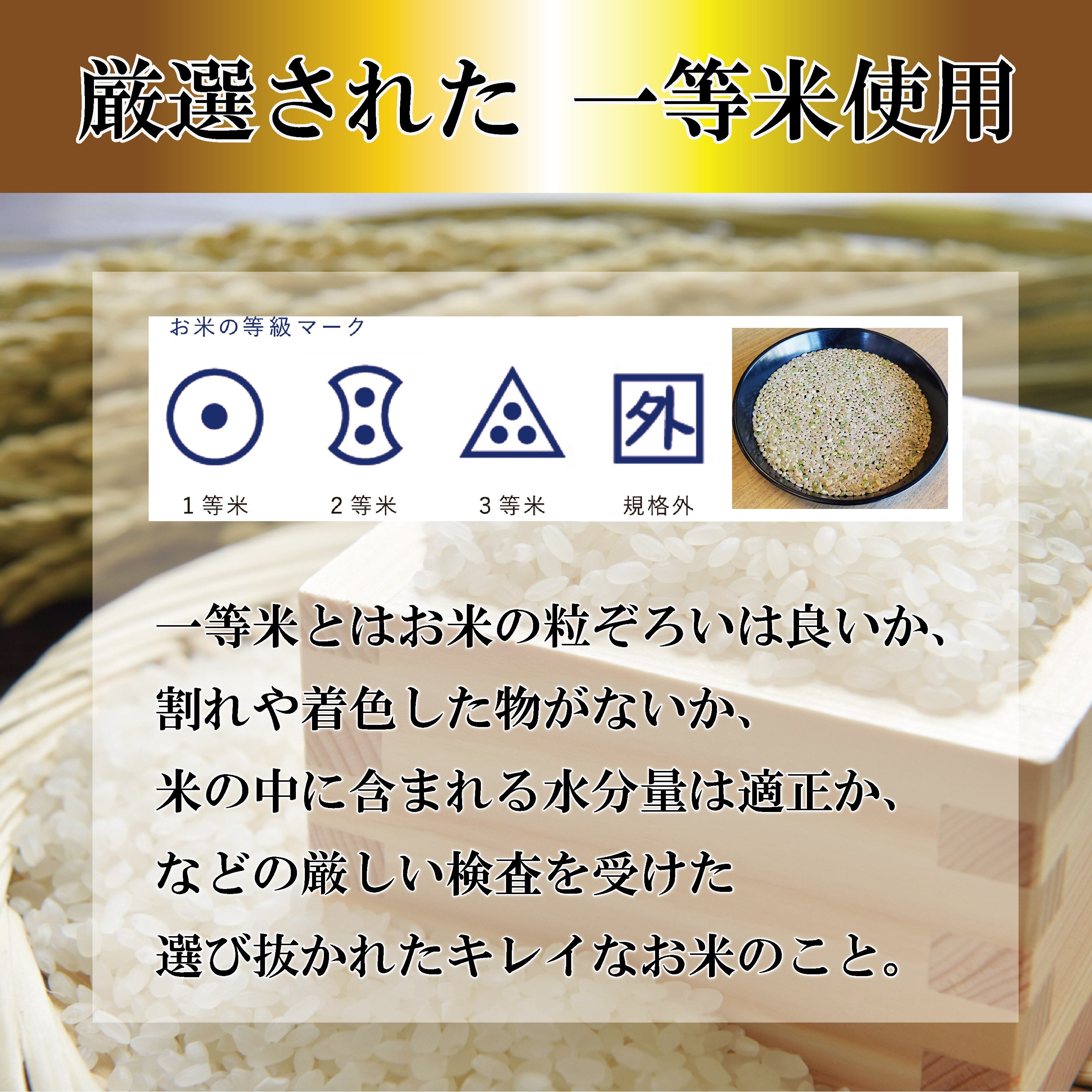 令和7年産 福島県産 ひとめぼれ 5㎏ | みずほ食糧