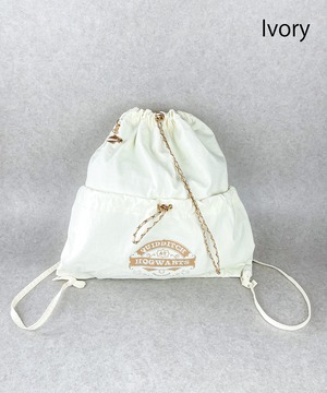 F251055_Harry Potter×Flapperクィディッチナップサック