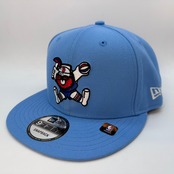 NEW ERA 9FIFTY/950　海外入荷　ABA　NBA