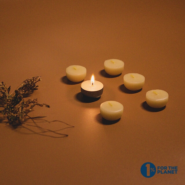 《ピュアでオーガニックな蜜?のキャンドル》Organic beeswax tealight candles-Northern Light