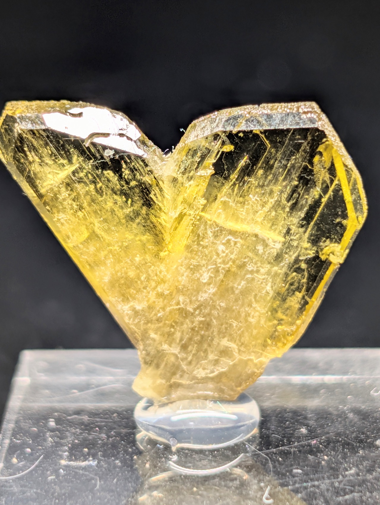 クリソベリル  Ambatondrazaka, Madagascar  AS98400808