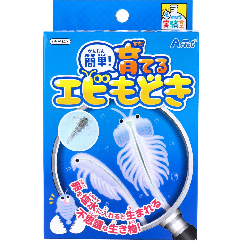 Jellycat Bashful Shimmer Bunny ジェリーキャット バシュフル シマ