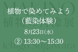 ②「MAKINO 植物の肖像」展　関連イベント「植物で染めてみよう（藍染体験）」【午後の部】