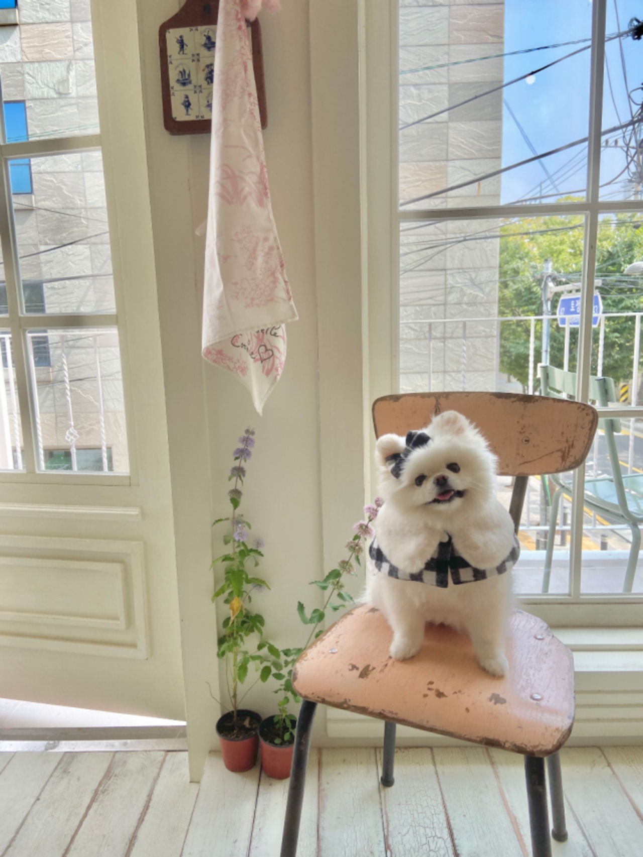 即納【Hi Yeboo】Classic Check Cape Acc (リボンブローチ)