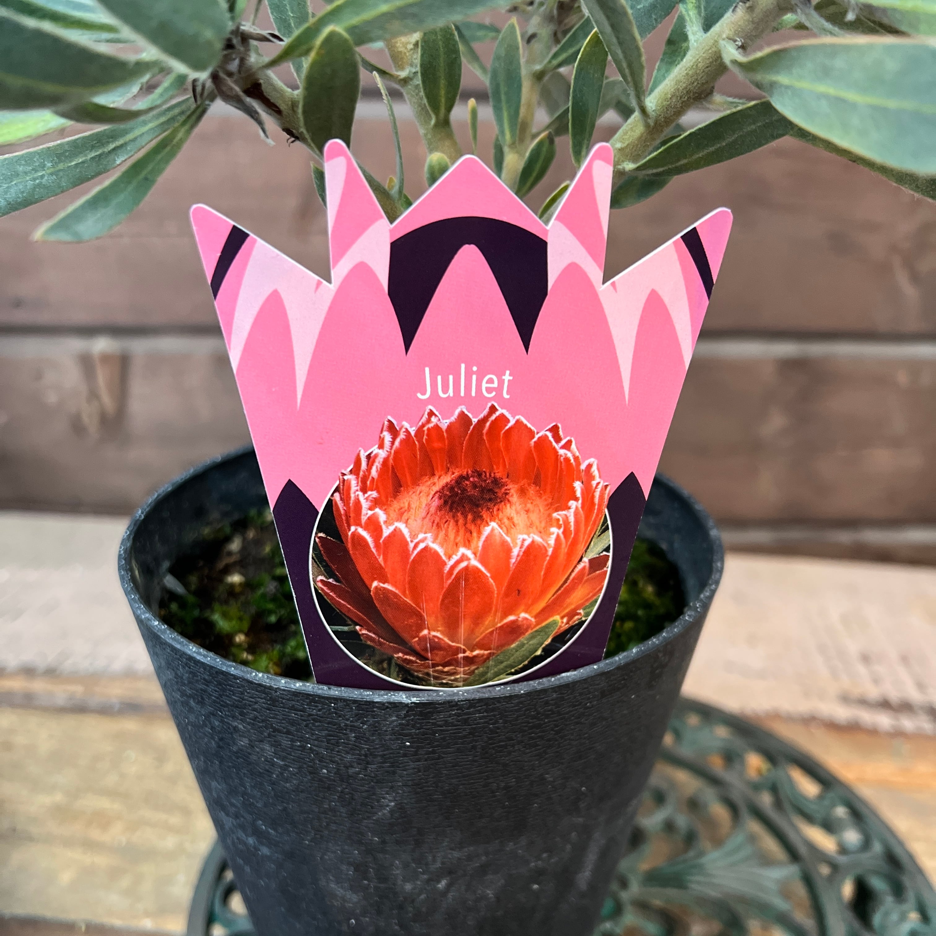 16e6bd994a0db1fbc2f8a528d5c12b