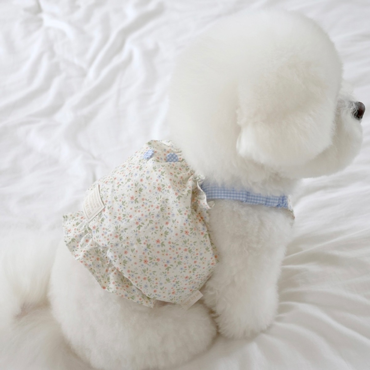 Kitsch Baby 予約【near by us】kitsch flower crop top (baby blue) | ropet