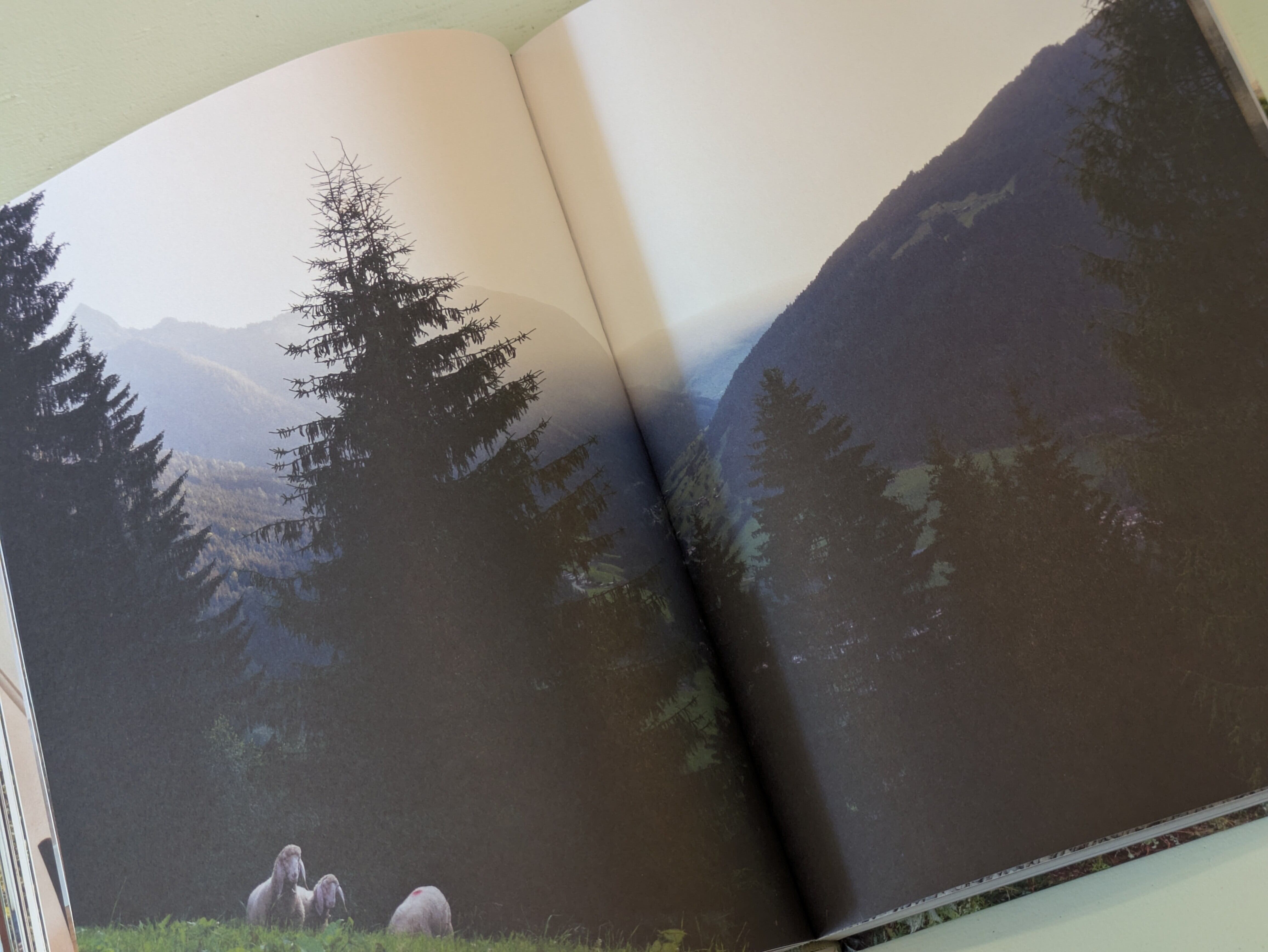 Mountain House : Studies in Elevated Design / マウンテンハウス 山