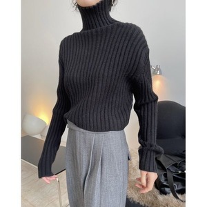 Turtle Neck Rib Knit 501839