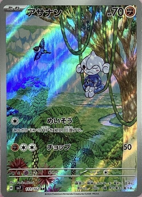 【Bランク】アサナン(AR)