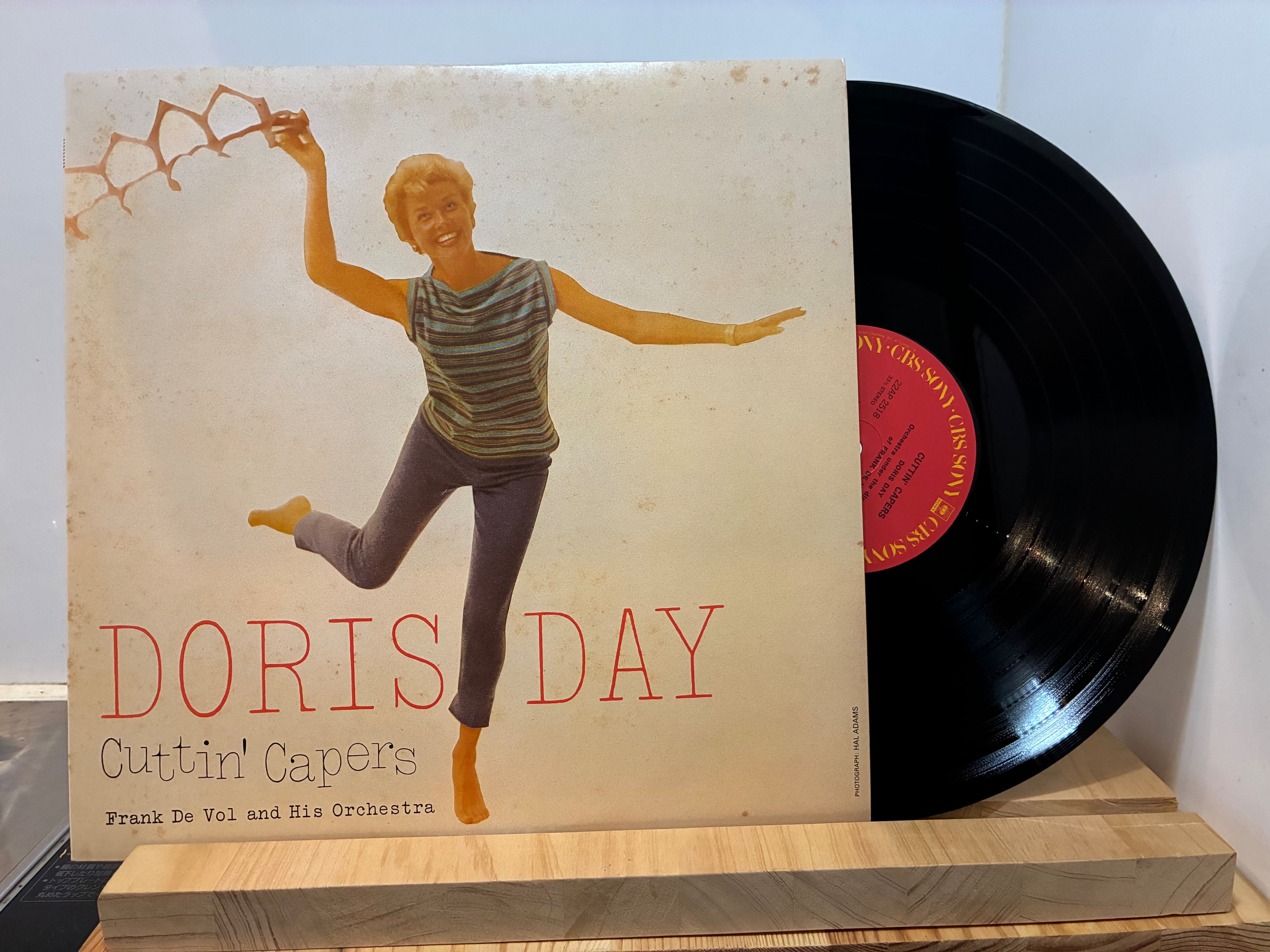 BLANKEY JET CITY / THE SIX | sixteen records (シックスティーン