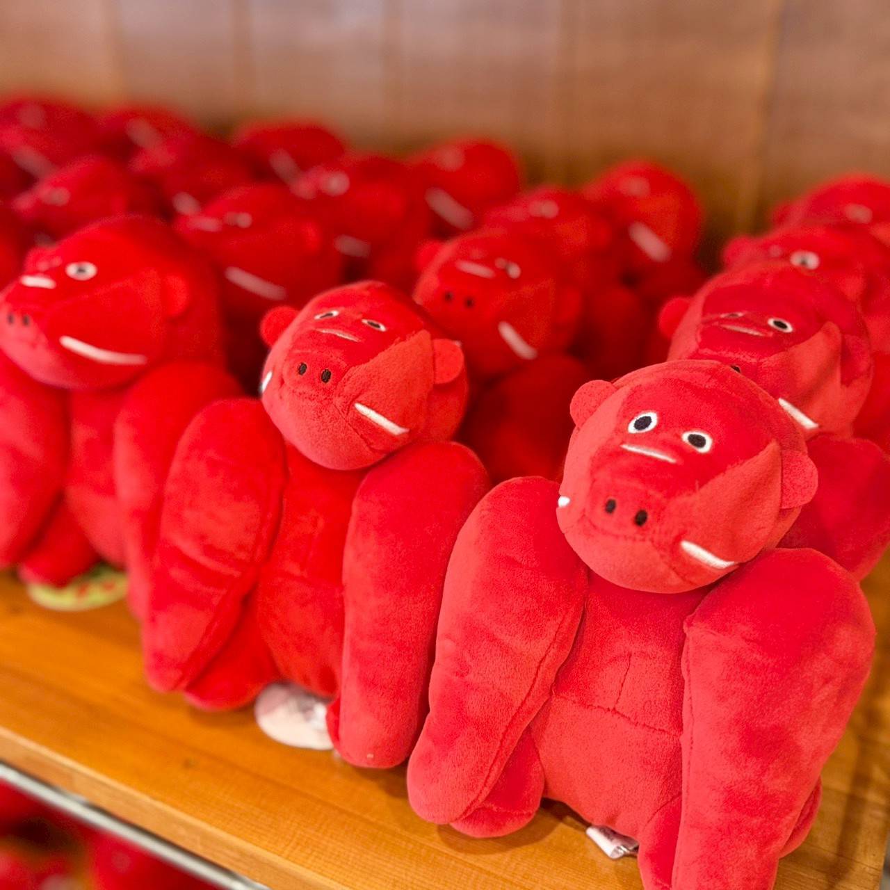 ぬいぐるみ | TORCH-Online Shop-