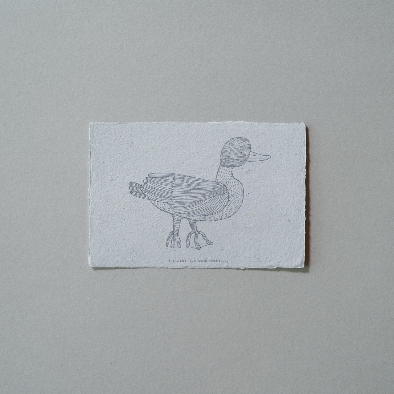 REBORN ART CARD「LIFE/LIFE」-kamo- / NOZOMI PAPER Factory×Reborn-Art Festival