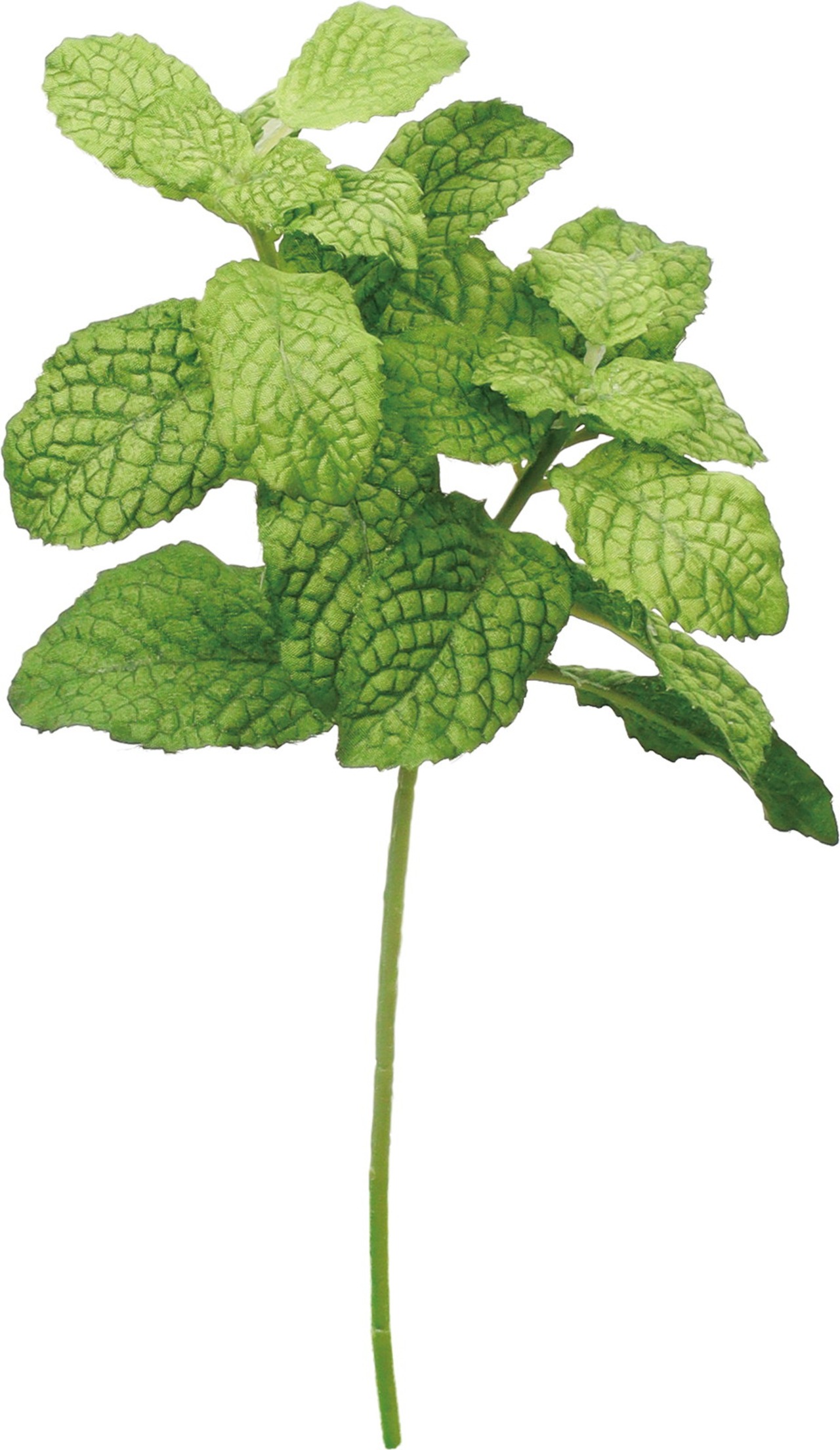 ミントショート　FG-5475 GR　4961823156809