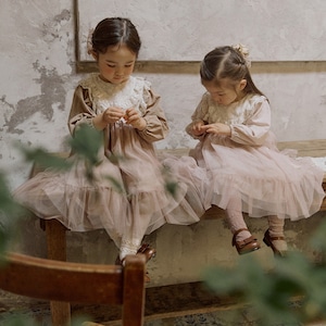 秋レースメッシュウエストフェアリードレス