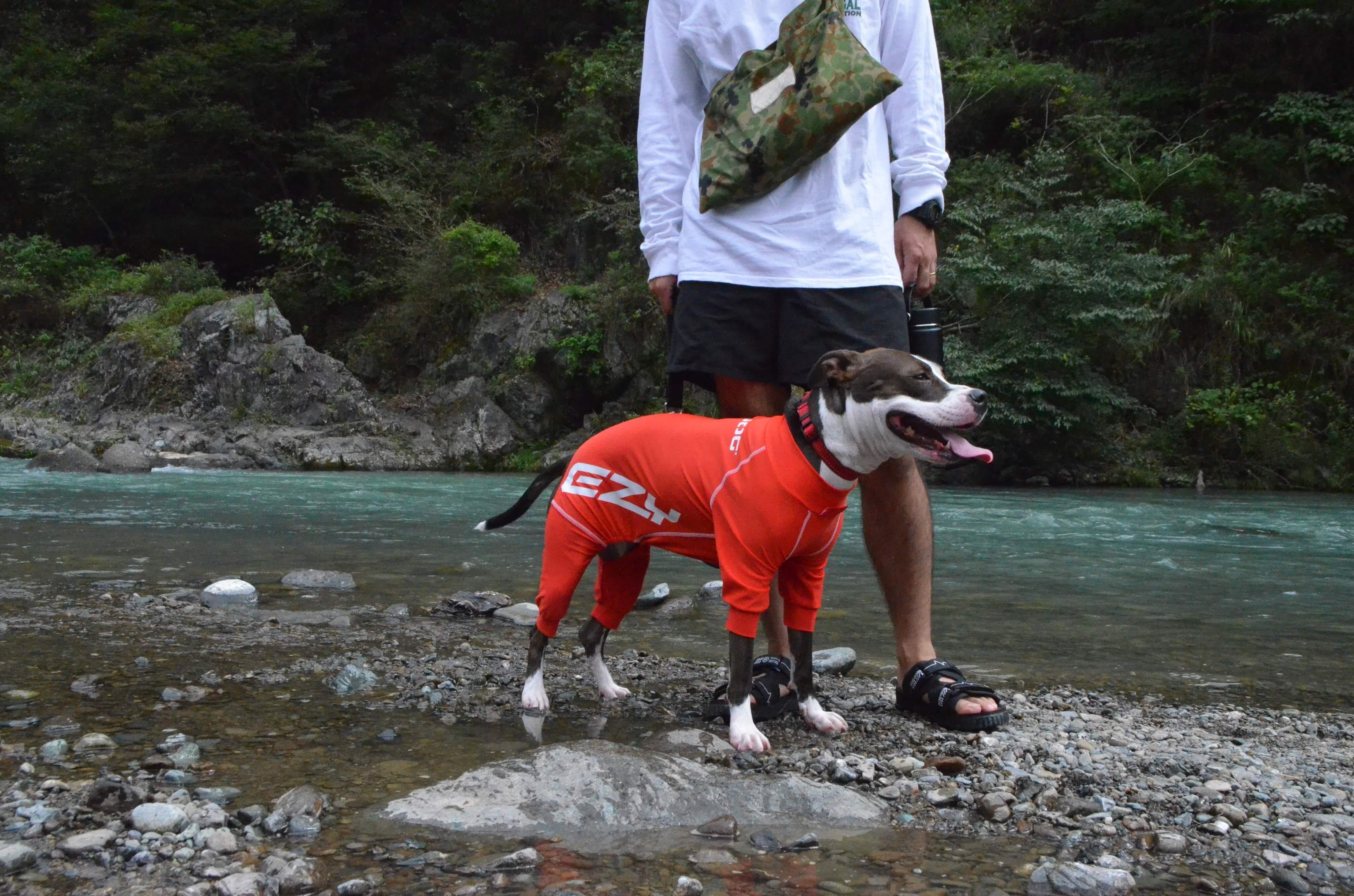 Sサイズ 青のみ EZYDOG ロングスリーブドッグラッシュガード | 狗娯楽商店