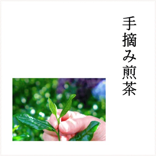 手摘み煎茶 80g
