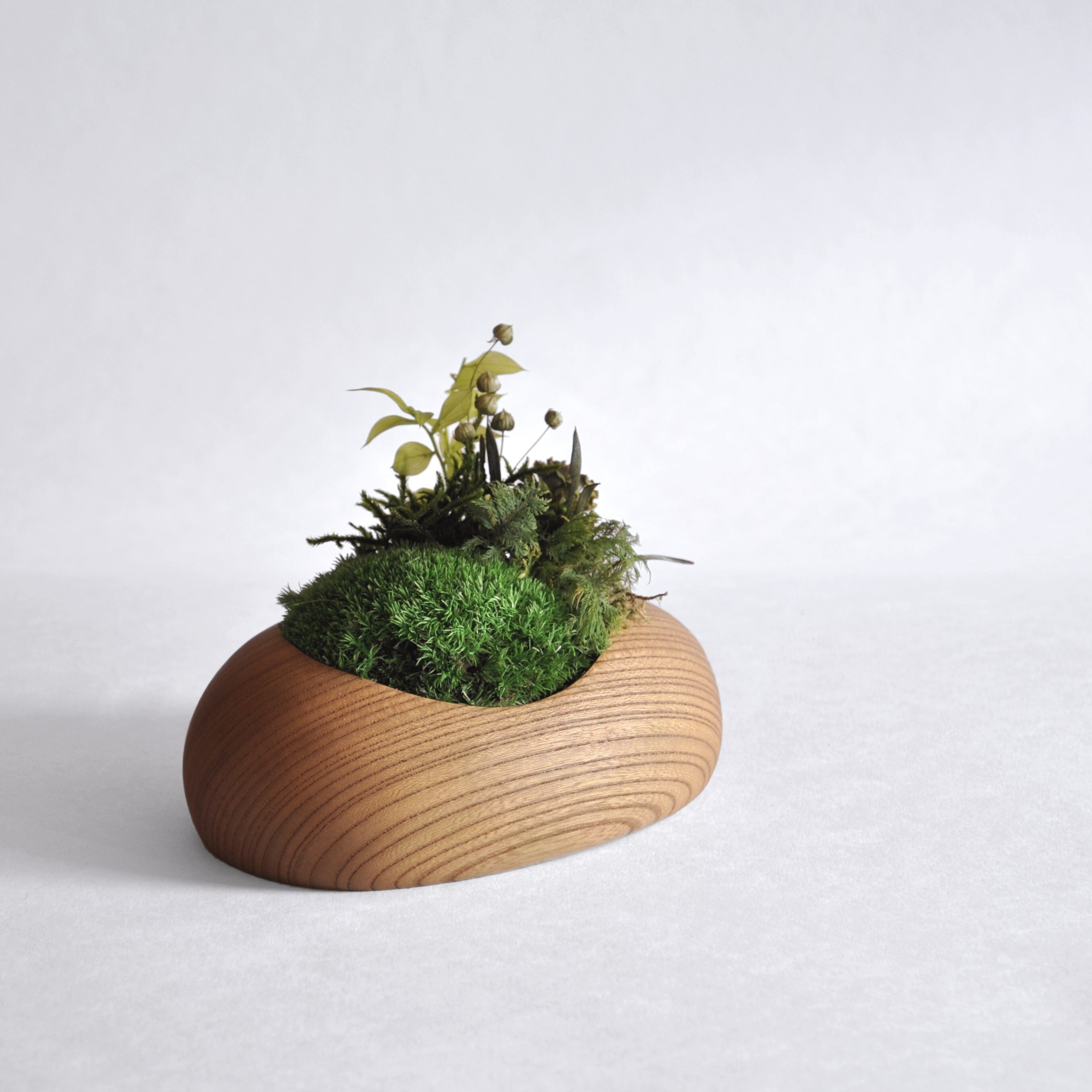 プリザーブドモス egg(エッグ) / Preserved moss egg