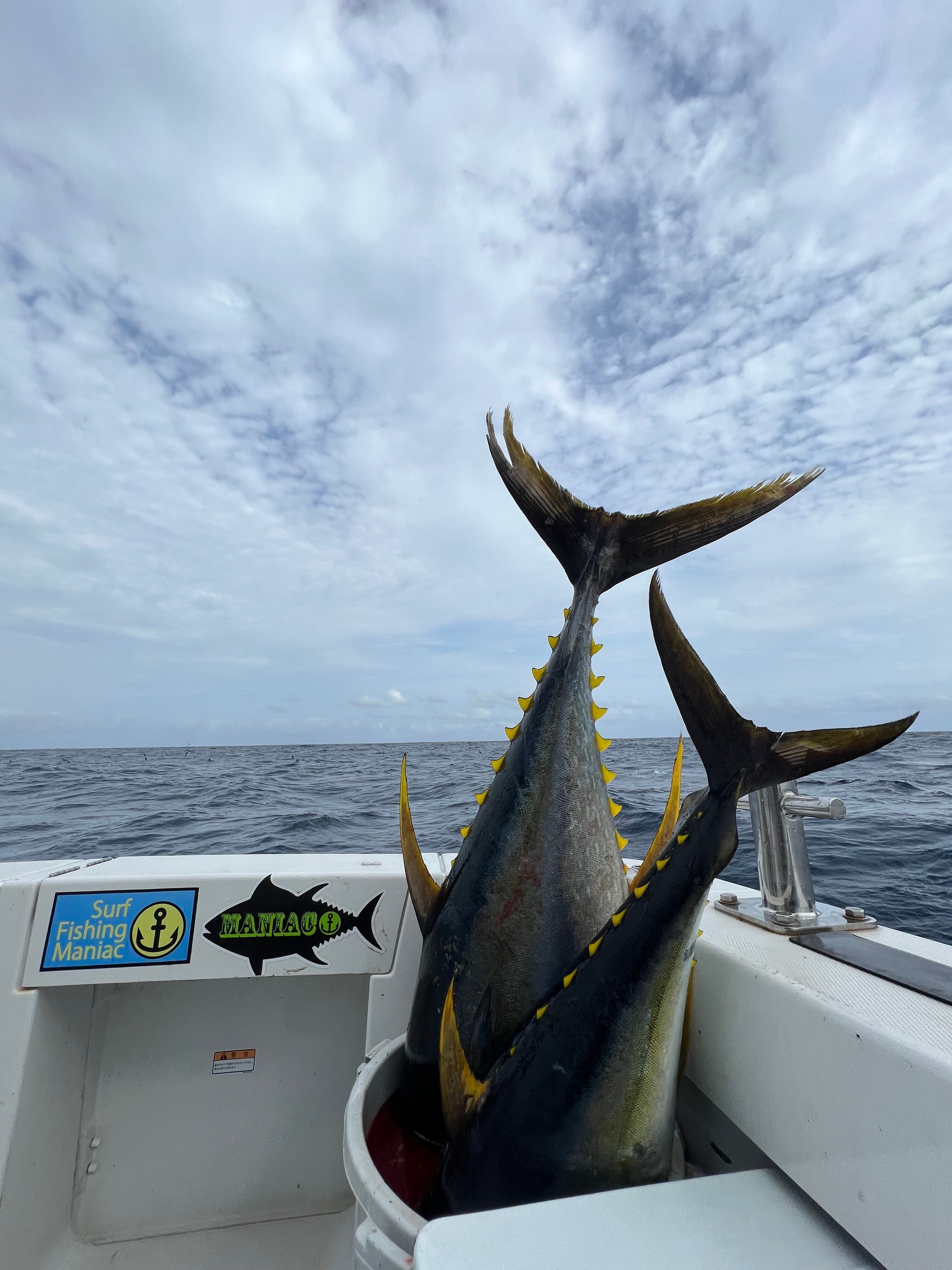 IRONTOMAHAWK 868S/アイアントマホーク868S ITNB-868S