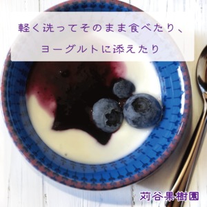 【2箱セット】【2026.7.1以降順次発送】【3L以上】大粒ブルーベリー約2kg《1箱125g×8パック入×2箱》