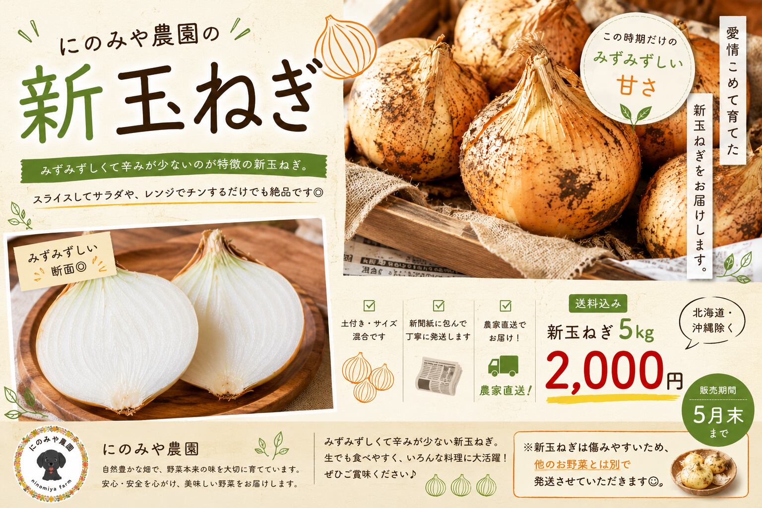 【同梱不可】にのみや農園 :  新玉ねぎ (サイズ混同) 5kg
