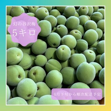 訳あり】山形県産 幻の谷沢梅 1.5キロ サイズミックス 農薬不使用 | PAY ID