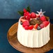 「クリスマス ジンジャーシフォンケーキ」17cm