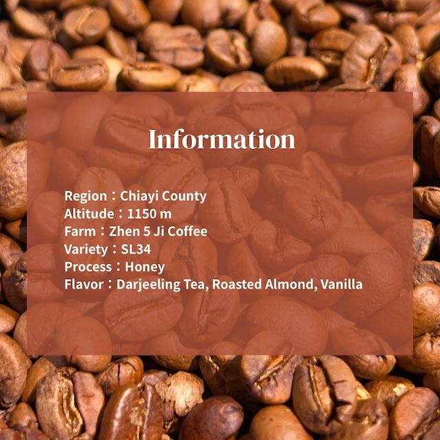 【台湾】Zhen 5 Ji Coffee SL34 Honey｜Light Roast - 100g