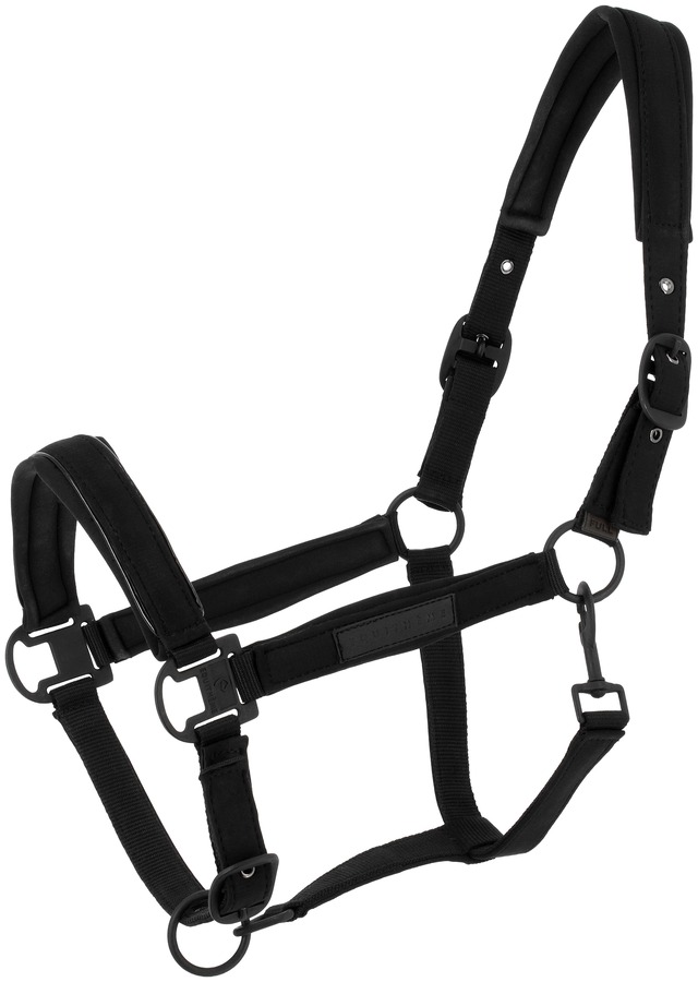 EQUITHÈME Pearl エキテーム 無口［お届け目安：2〜3週間］