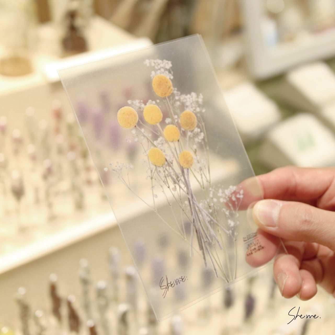 No.DFCD10 ドライフラワーカード《コットンフラワー》 | She me.