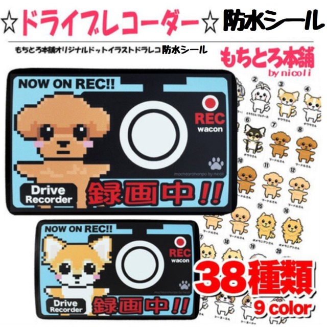 防水シールタイプ ドライブレコーダー録画中 ドラレコ わんこ チワワ トイプー シーズー マルチーズ ダックス イラスト もちとろ本舗 トップノット パグ ヨーキー Mochitoro 防水シールタイプ ドライブレコーダー録画中 ドラレコ わんこ チワワ トイプー シーズー マルチーズ ダックス イラスト もちとろ本舗 トップノット パグ ヨーキー Mochitoro