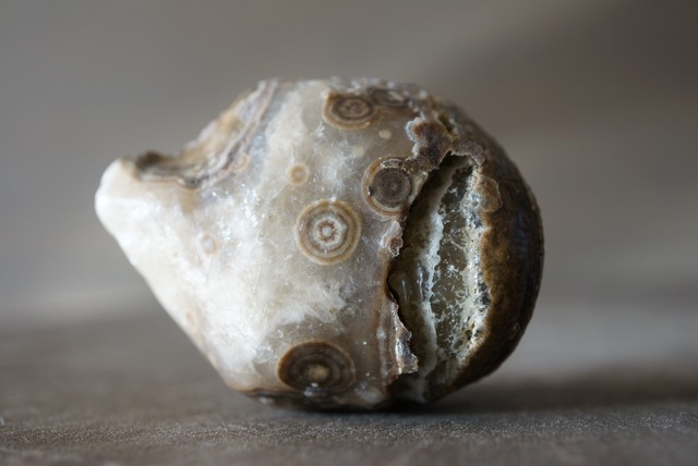 ゴビアゲート Gobi Agate 1098