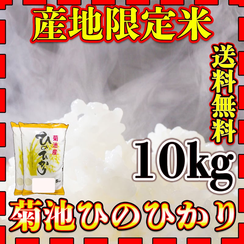 お米 米 10kg 白米 送料無料 熊本県 菊池産 ひのひかり 令和7年産