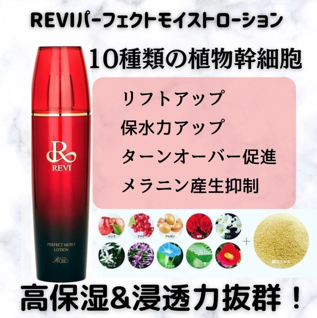 REVIパーフェクトモイストローション REVI 2点セット パーフェクト 