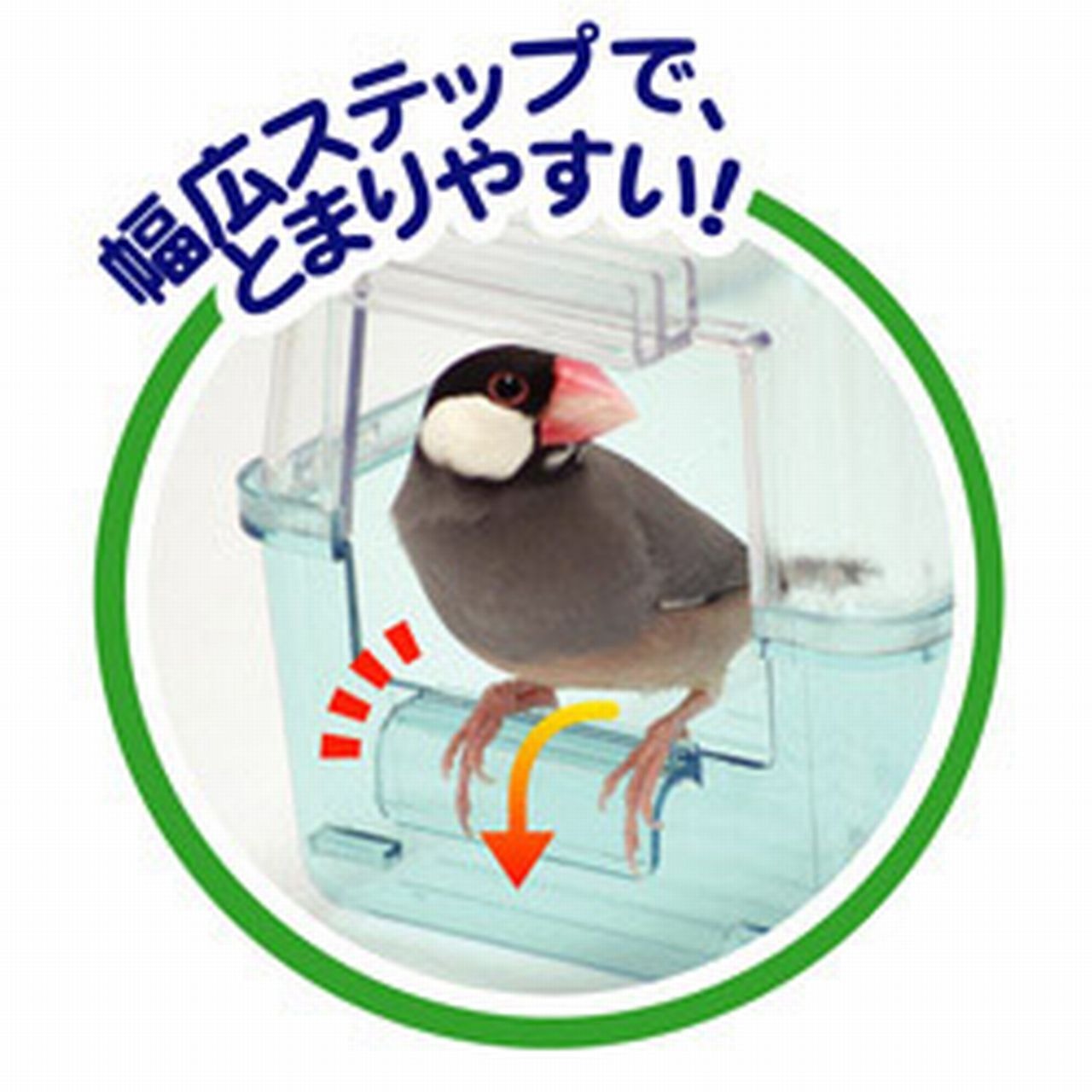 【三晃商会】　小鳥の快適バスタイム