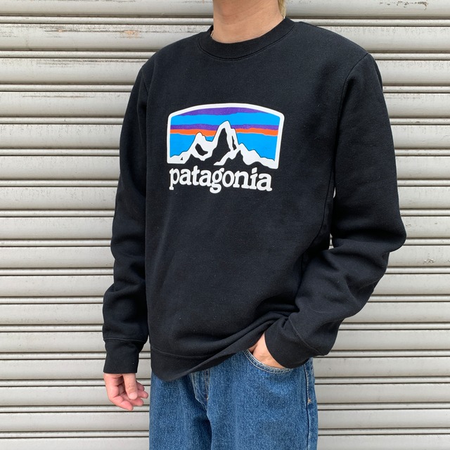 00s patagonia パタゴニア　シンチラフリースベスト　グリーン　XL