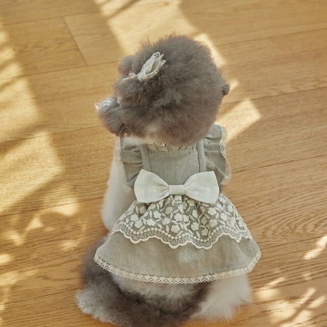 ♥︎︎めろんくりーむ様♥︎︎ ハンドメイド 犬服 フラワーストライプ レースワンピース 17124b24e128a6675f46b14526fc66