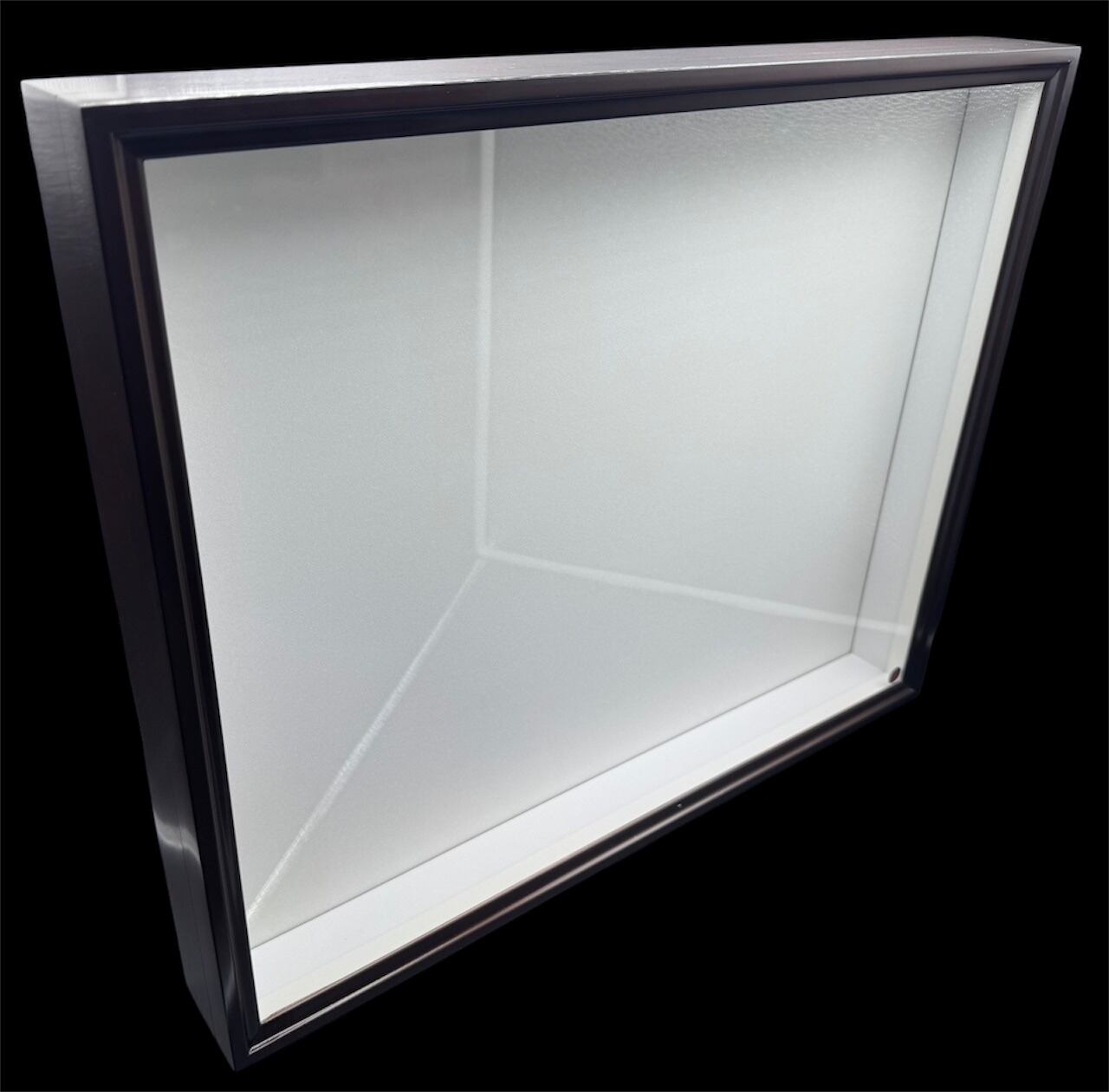 標本箱 | KPW公式オンラインショップ