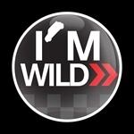 ゴーバッジ(★在庫処分★)（CD0289 - I'M WILD） - 画像1